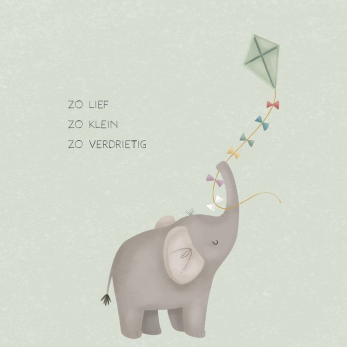 Little Dutch | Condoleancekaart | Olifant | Lief