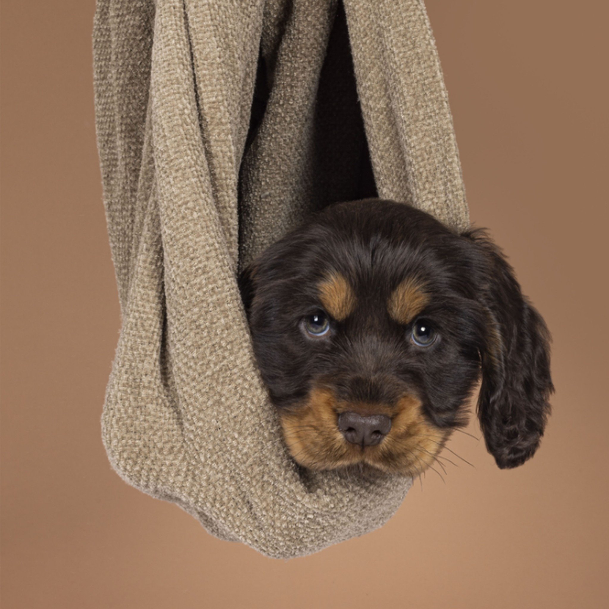 Geboortekaart Schattig Vierkante Kaart Catchy Images