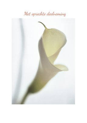 Fotografische Calla Lelie Condoleance Kaart