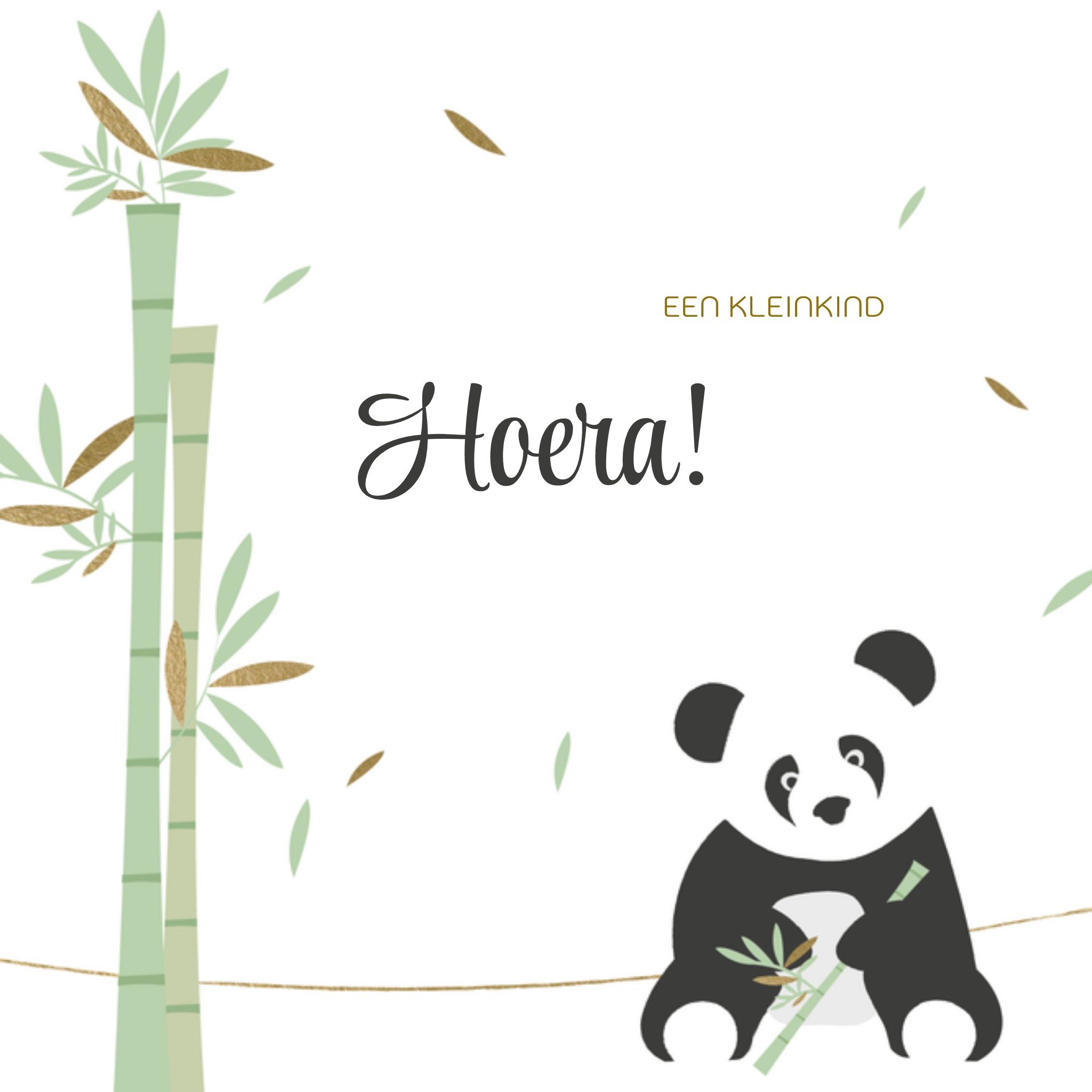 Greetz Geboortekaart Een kleine panda Vierkant