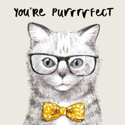 Liefde kaart | You're purrrrfect