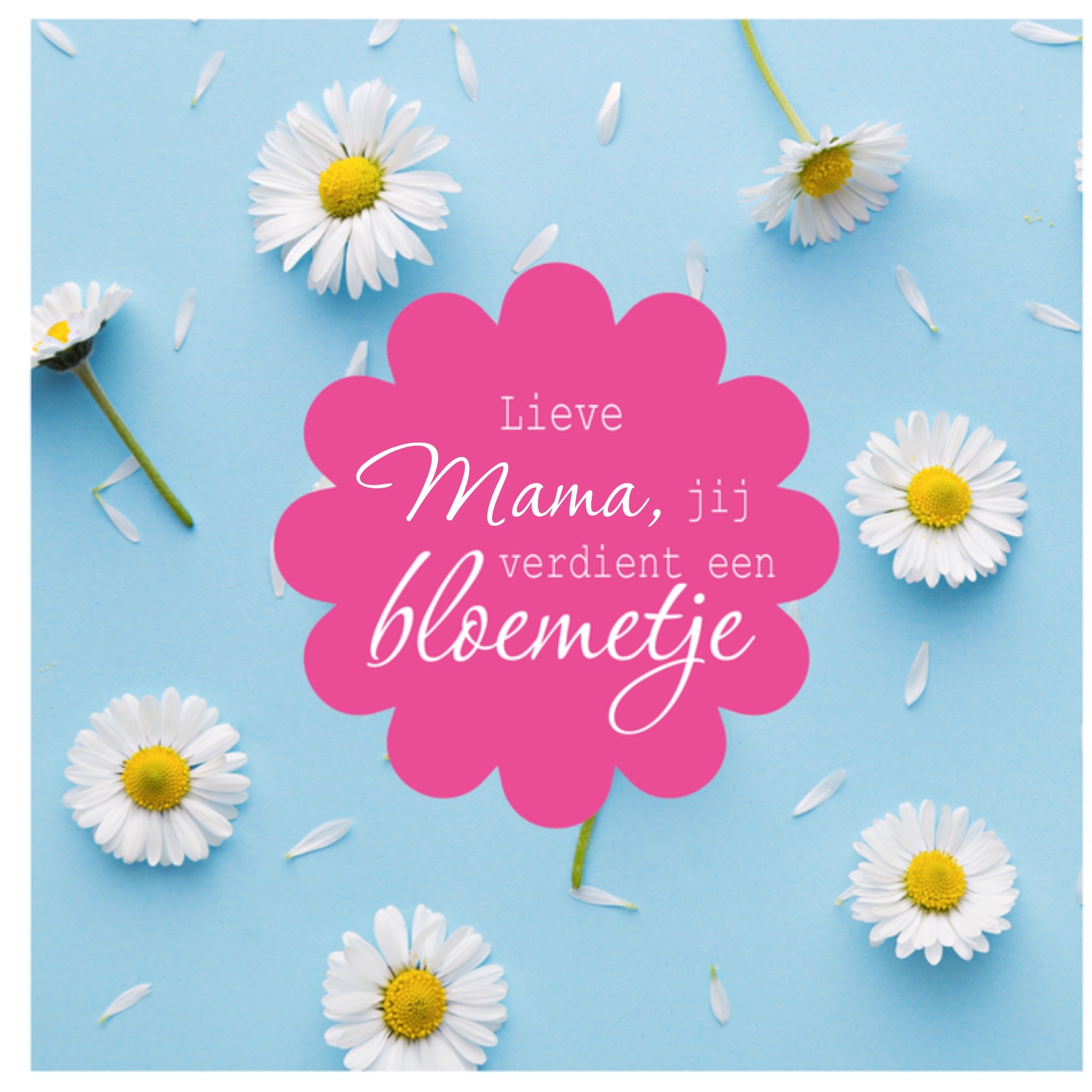 Paperclip Moederdagkaart madeliefjes Vierkante Kaart Greetz