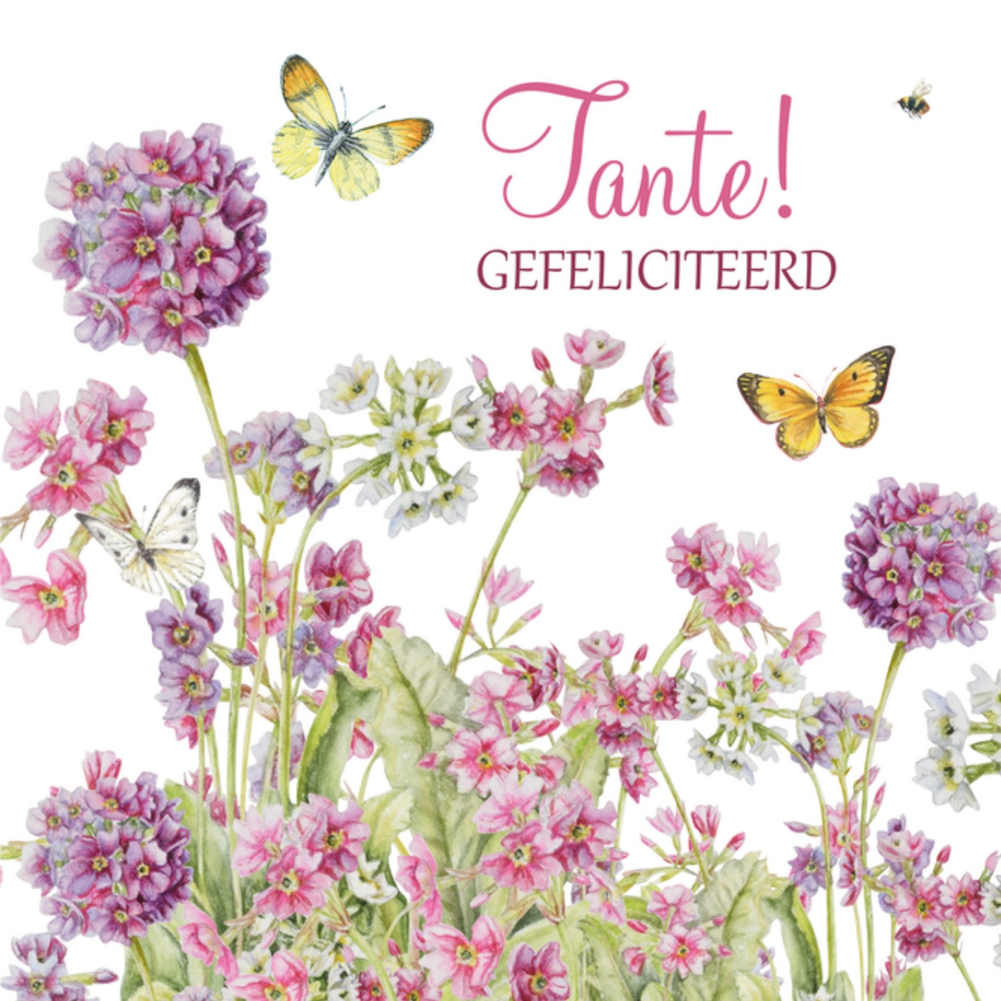Geboortekaart Tante Vierkante Kaart Janneke Brinkman