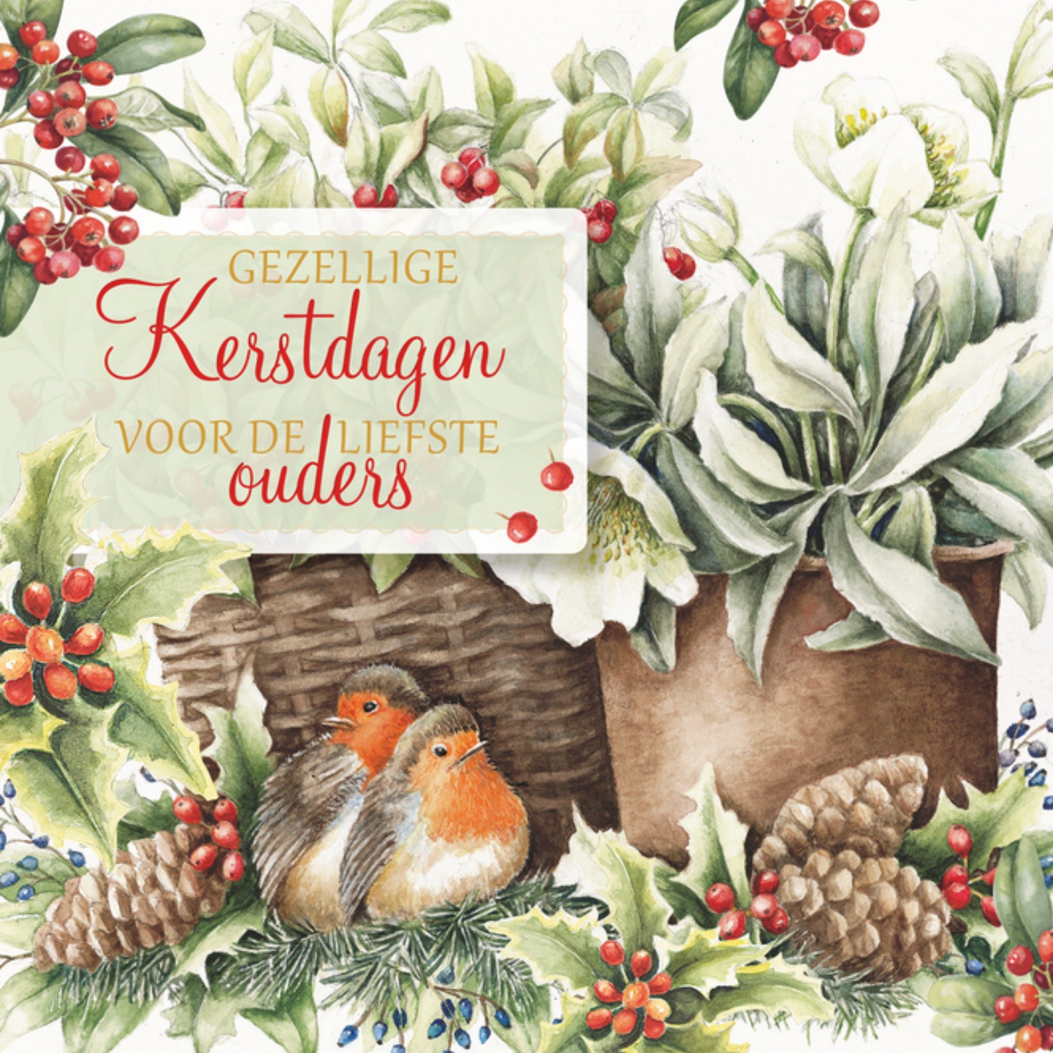 Greetz Miffy Kerstkaart Gezellige kerstdagen voor de liefste ouders Vierkant