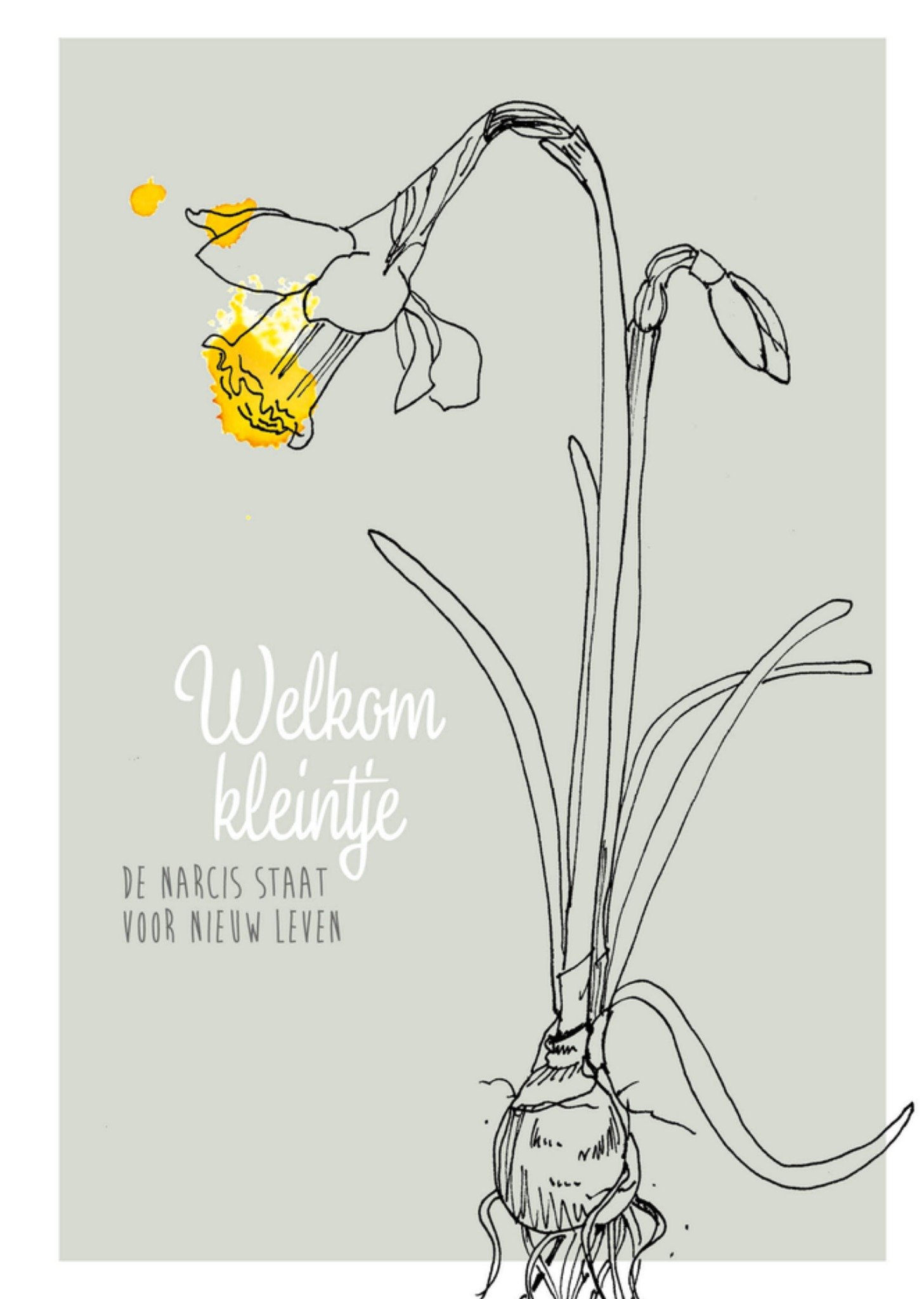 Geboortekaart Narcis staat voor nieuw leven Kaart Veer Moon