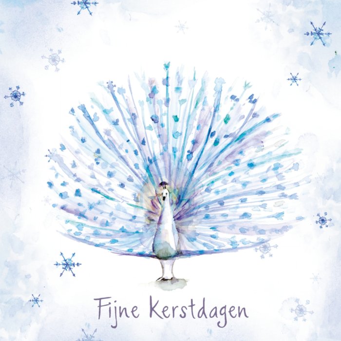 Michelle Dujardin | Kerst | Illustratie | Pauw