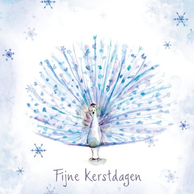 Michelle Dujardin | Kerst | Illustratie | Pauw