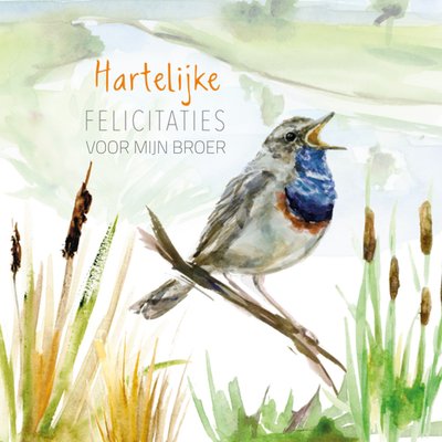 Michelle Dujardin Geïllustreerde Aquarel Vogel Voor Broer Felicitatiekaart