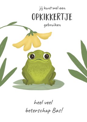 Tsjip | Beterschapskaart | Opkikkertje