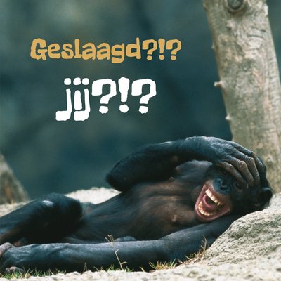 TMS | Geslaagd kaart | aap | grappig