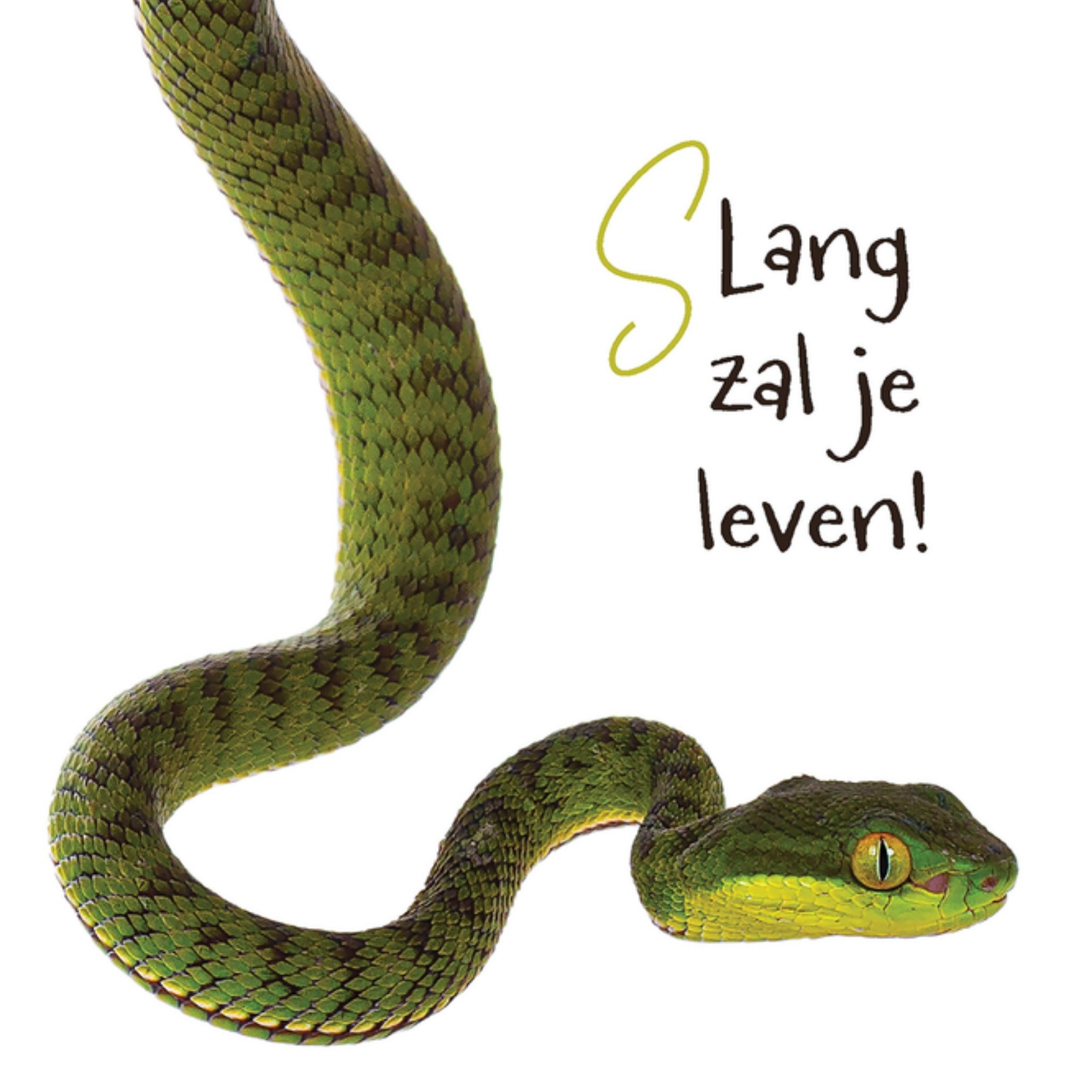 Verjaardagskaart Slang zal je leven Vierkante Kaart Catchy Images