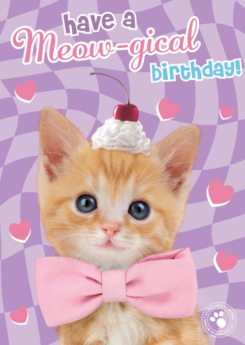 Studio Pets | Verjaardagskaart | Meowgical birthday