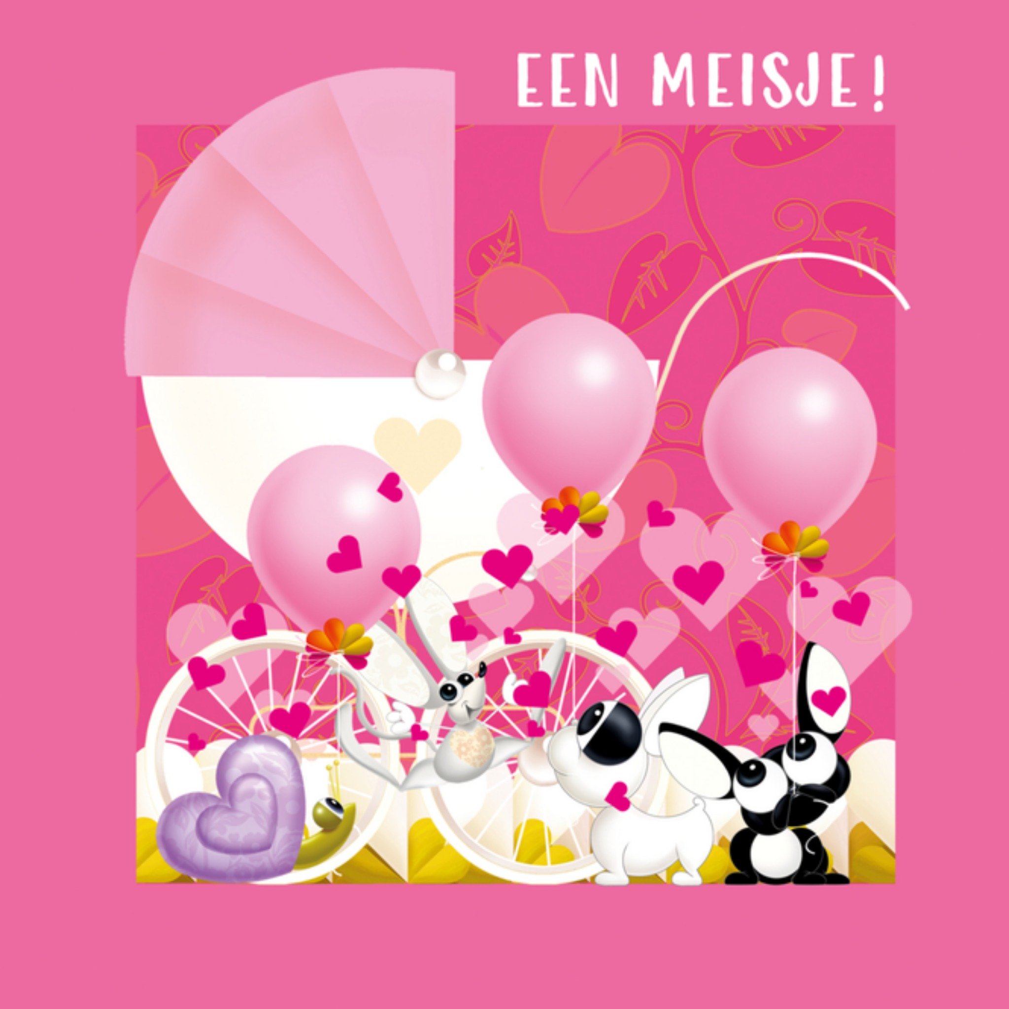 Geboortekaart Meisje Kinderwagen Vierkante Kaart TMS