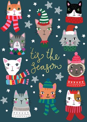 Natalie Alex | Kerstkaart | katten