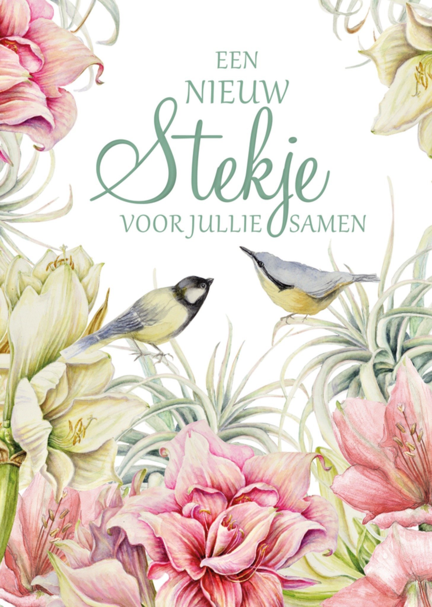 Nieuwe woning kaart Een nieuw stekje voor jullie samen Kaart Janneke Brinkman