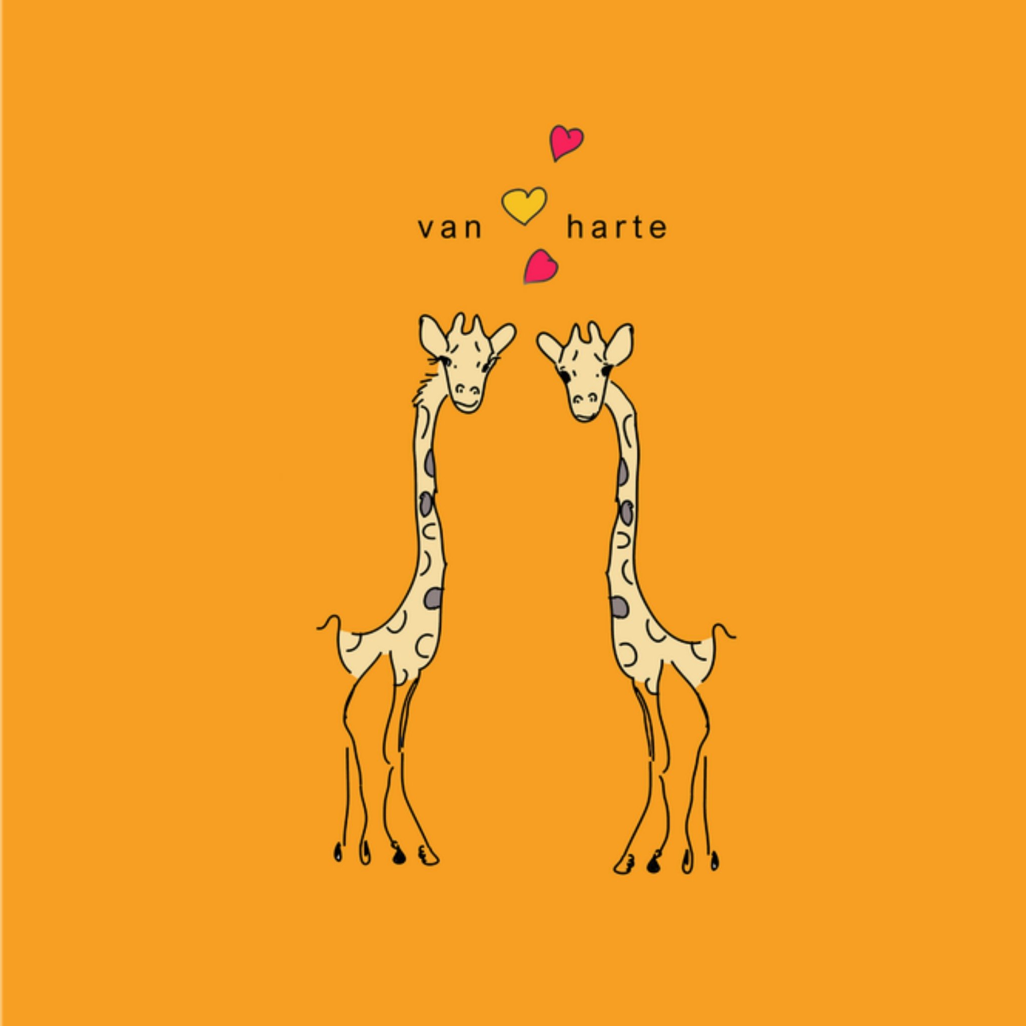 Verjaardagskaart Giraffe Vierkante Kaart Studio Marloes
