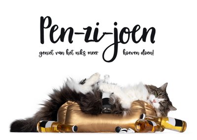 Catchy Images | Pensioenkaart | Kat