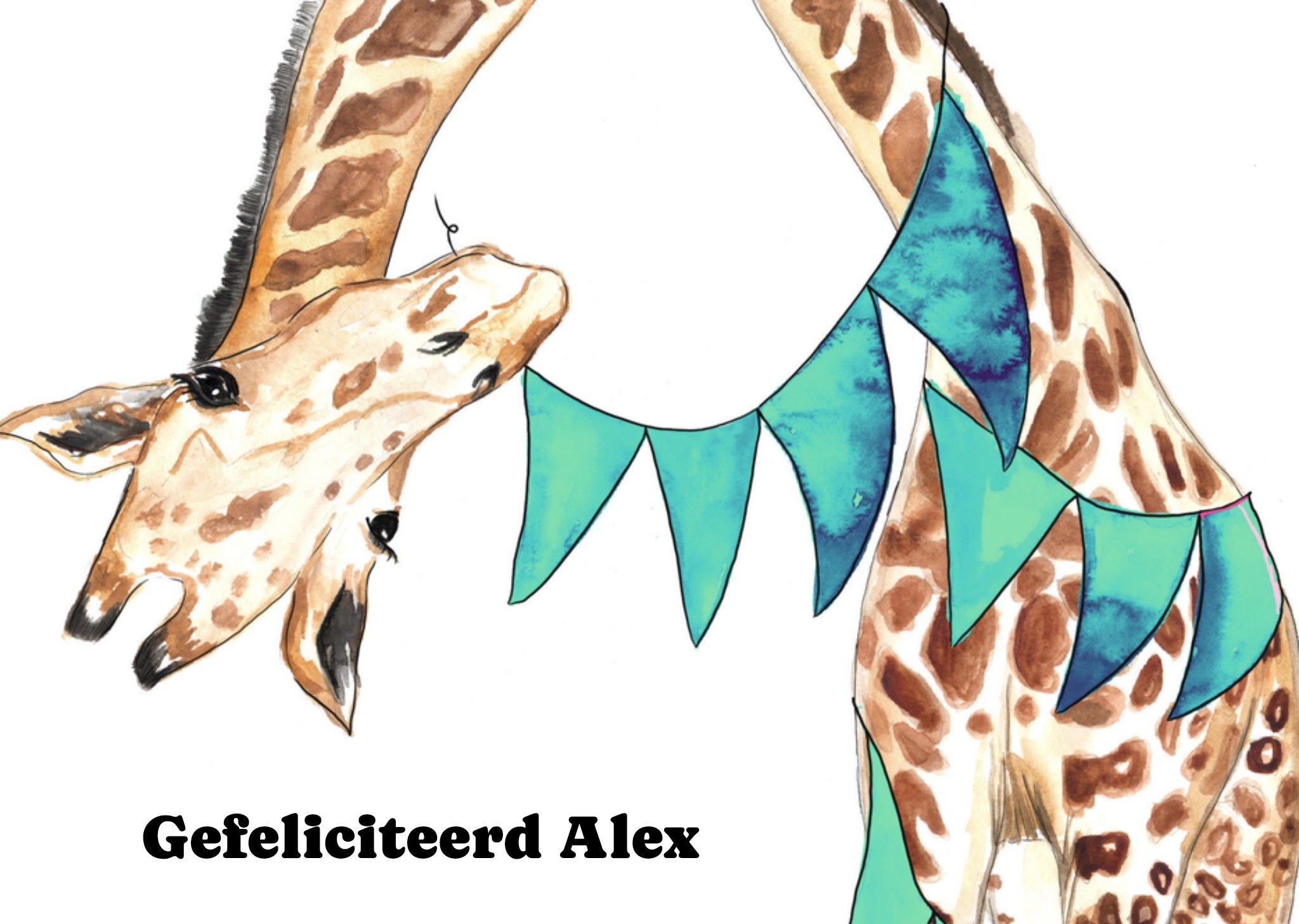 Marie Bodie Verjaardagskaart Schoonzoon Kaart Marie Bodié