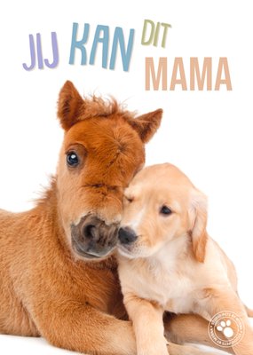 Studio Pets By Myrna Jij Kan Dit Mama Pony En Puppy Aanmoediging Kaart