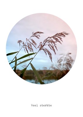 Bright Spot | Sterkte kaart | landschap
