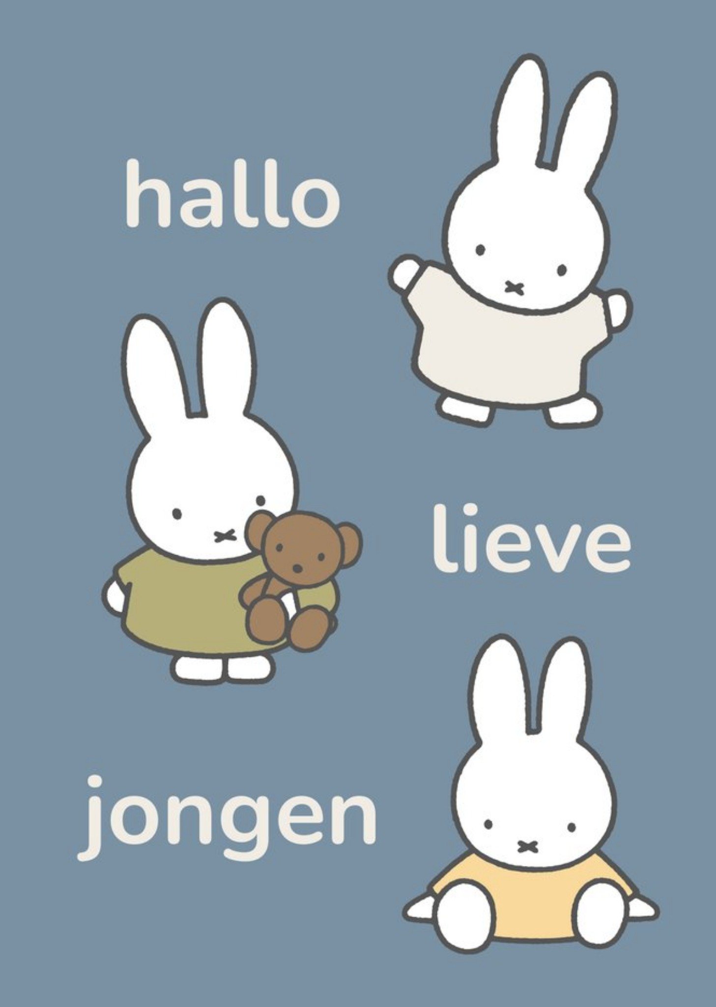 Miffy Geboortekaart Hallo lieve jongen Kaart Nijntje
