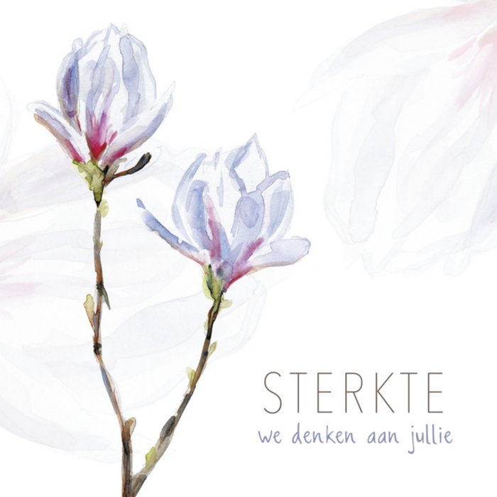 Sterkte kaart | Michelle Dujardin | Illustratie