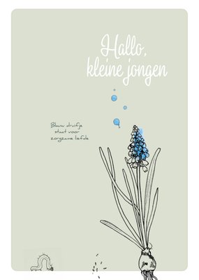 Veer&Moon | Geboortekaart | blauw druifje voor zorgzame liefde