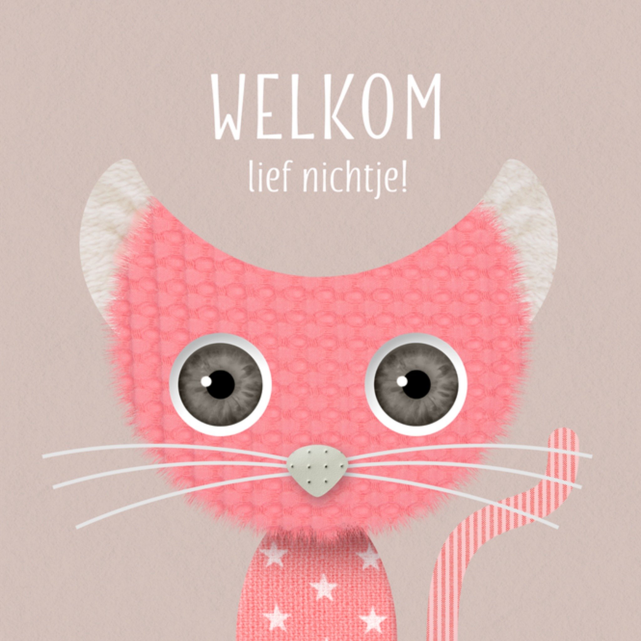 Geboortekaart Lief Nichtje Vierkante Kaart Luckz