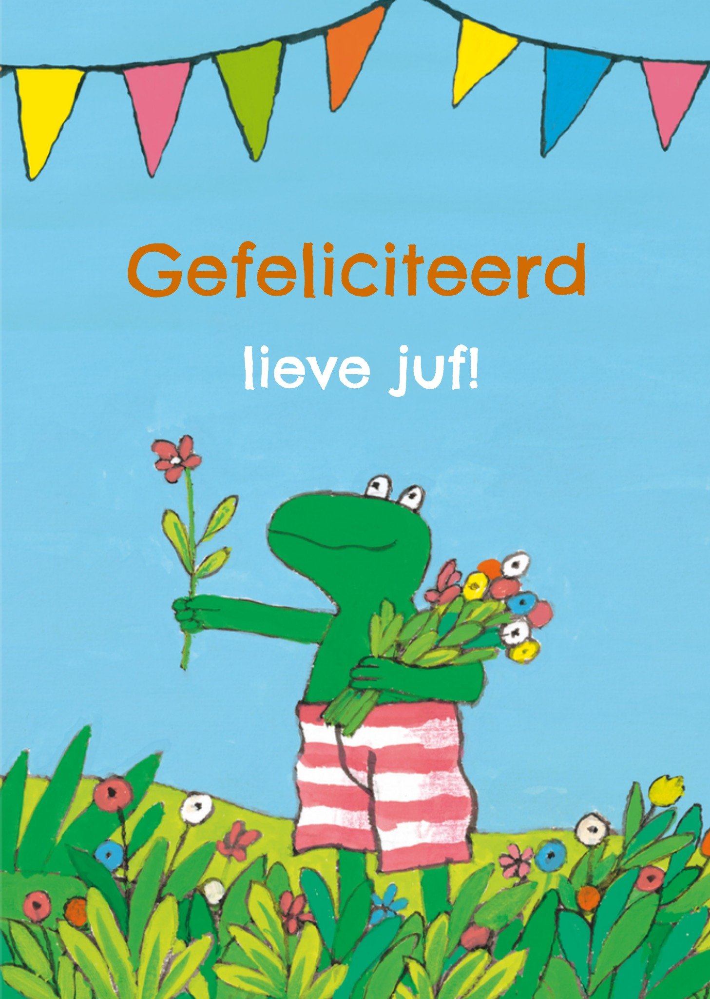 Verjaardagskaart Aanpasbare tekst Juf en Meester Kaart Kikker