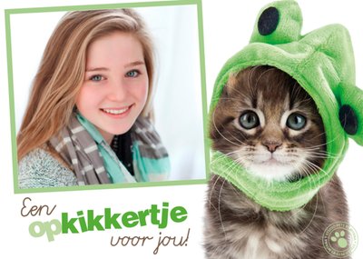 Studio Pets | Beterschapskaart | Een opkikkertje voor jou!