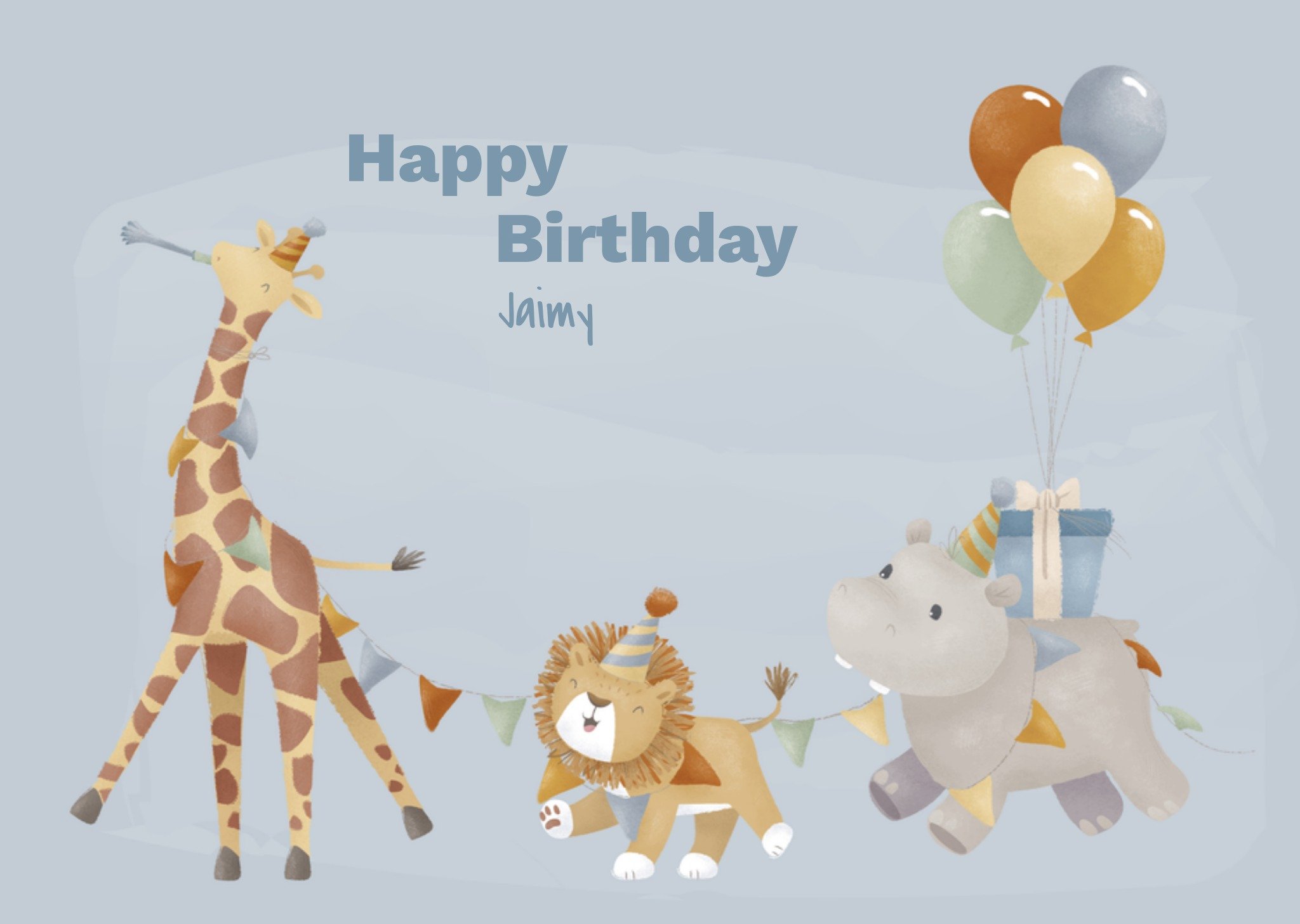 Verjaardagskaart Dieren Jongen Kaart Little Dutch