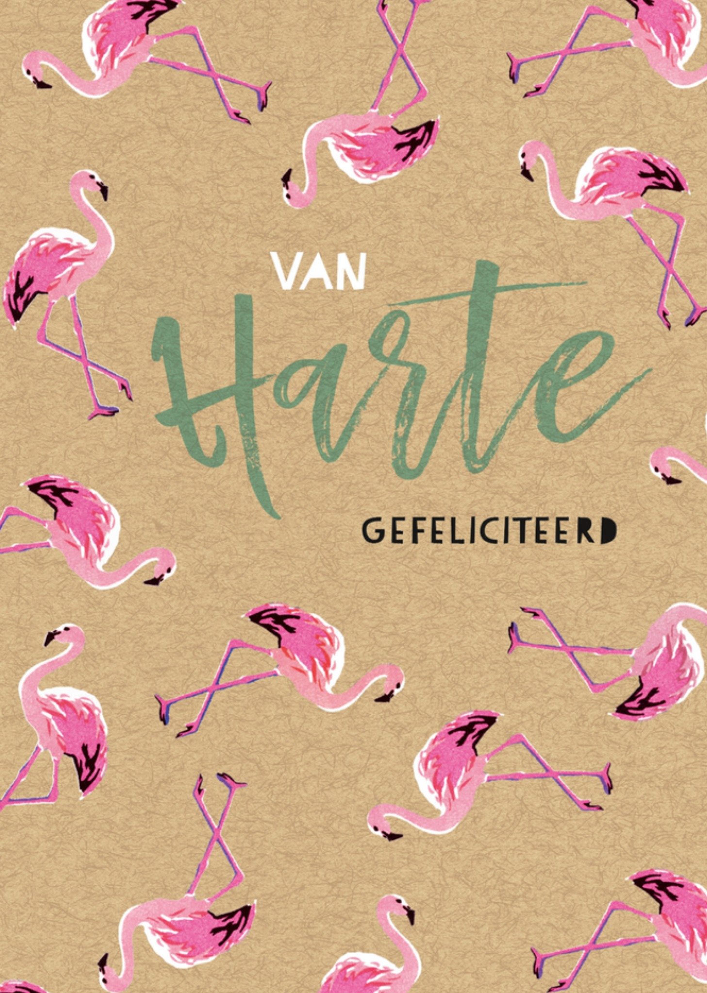 Felicitatiekaart Flamingo Dieren Kaart Paperclip