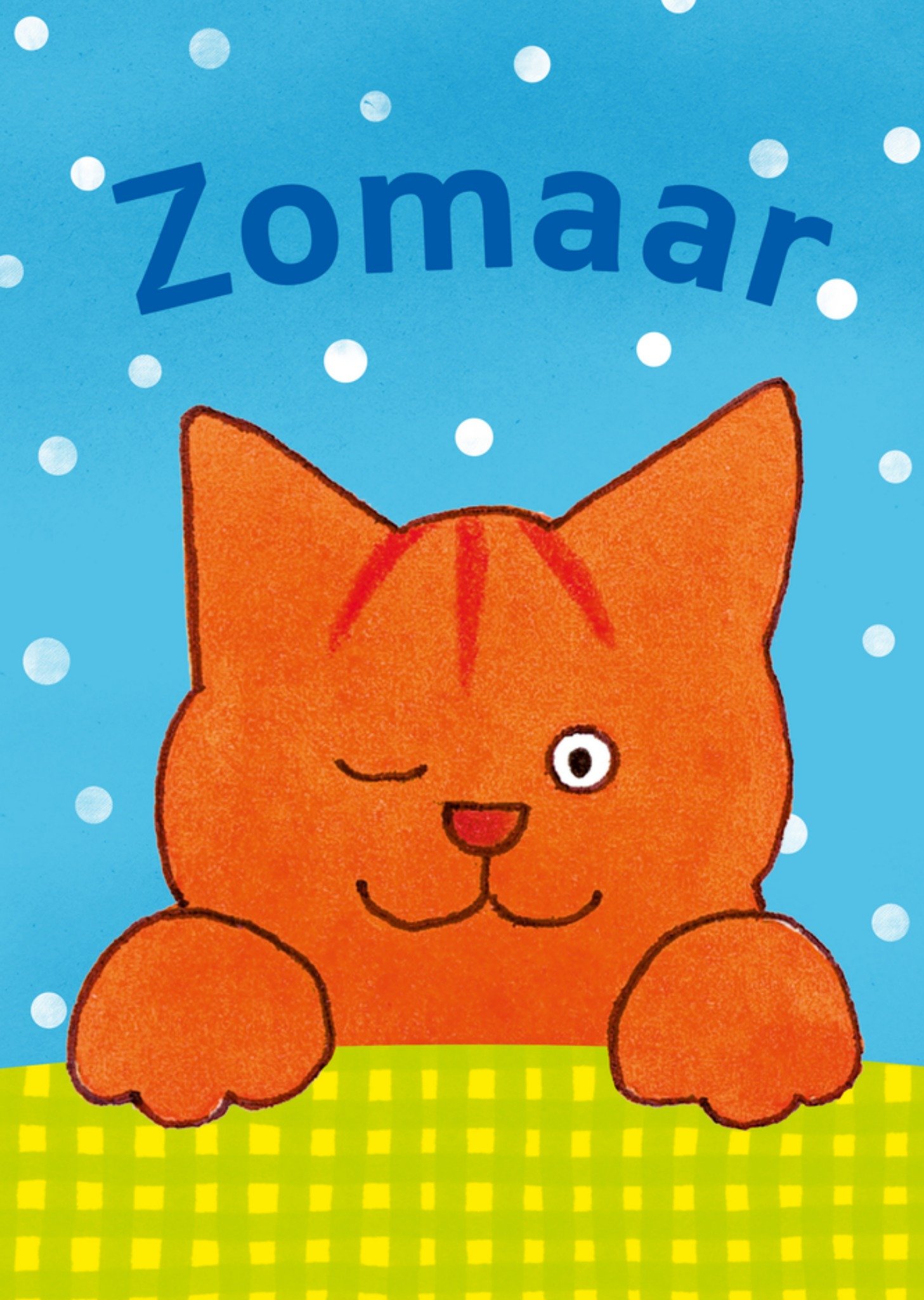 knipoogt Kaart Dikkie Dik