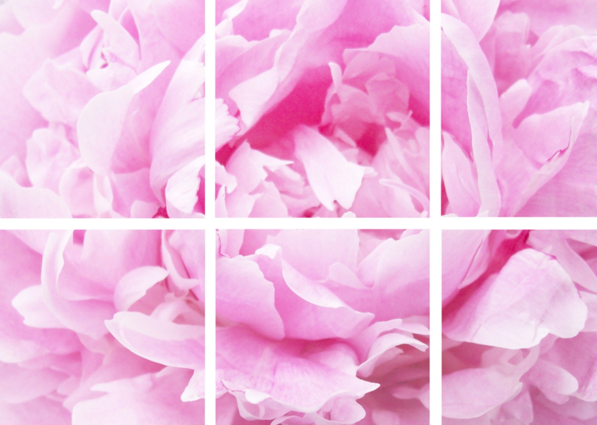 Fotokaart met witte lijnen door de foto Kaart Greetz