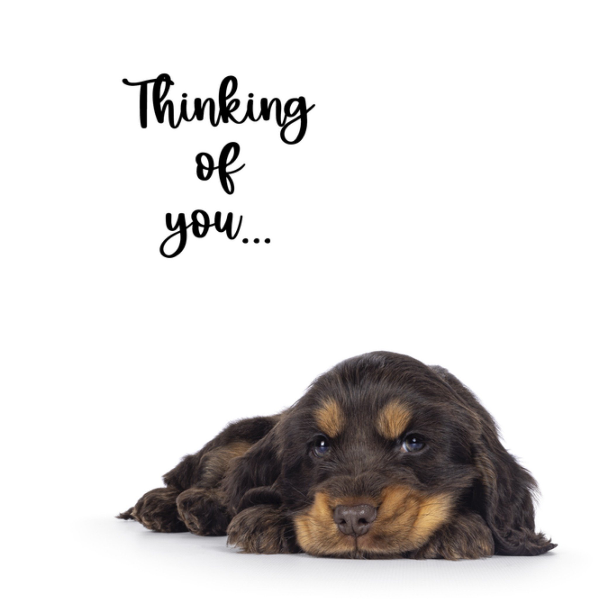 Denken aan kaart Schattig Vierkante Kaart Catchy Images