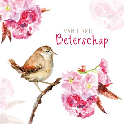 Michelle Dujardin | Beterschapskaart | Bloemen en vogeltje