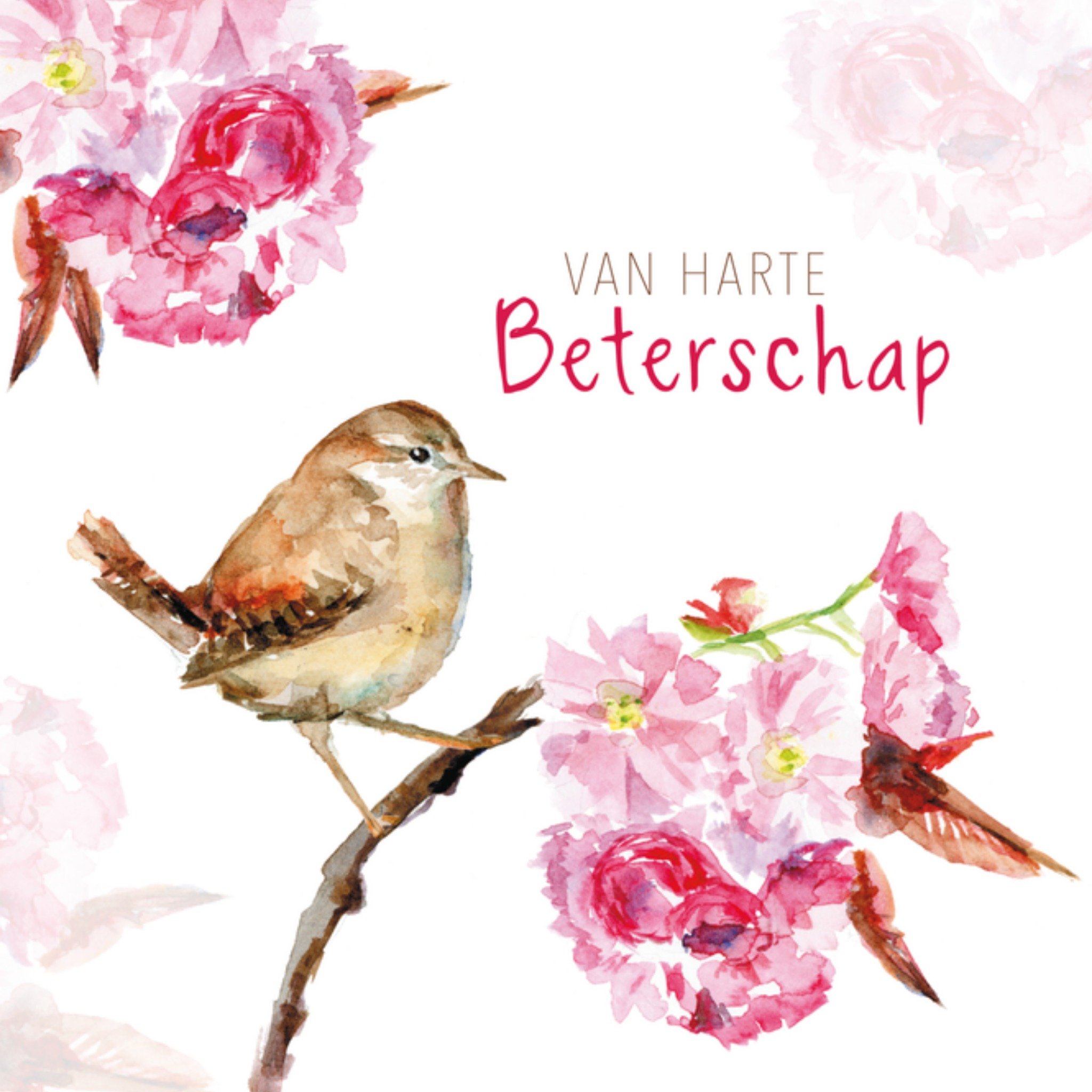 Michelle Dujardin | Beterschapskaart | Bloemen en vogeltje | Square Card