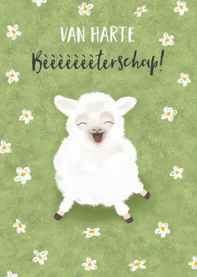 Tsjip | Beterschapskaart | Schaapje