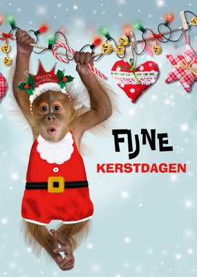 TMS | Kerstkaart | illustratie | aapje