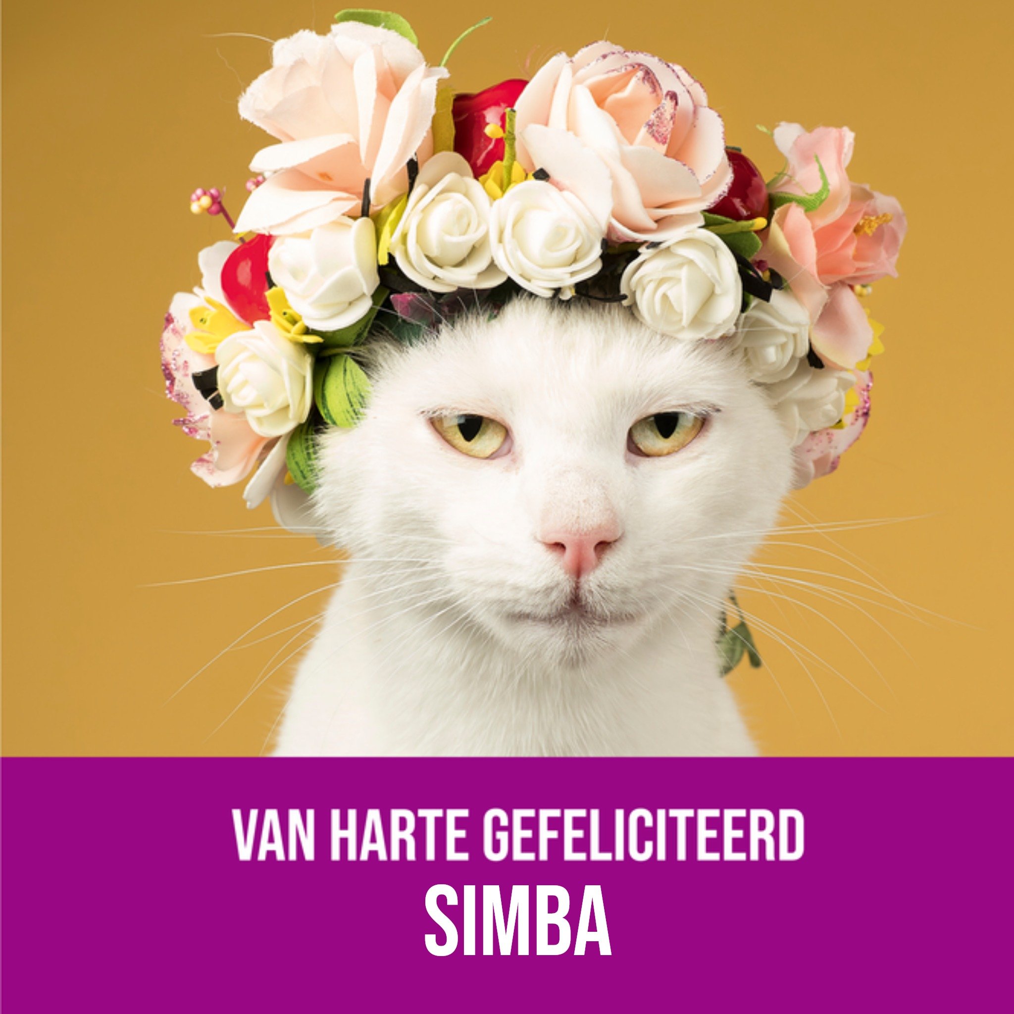 Verjaardagskaart Grappige kat Met naam Vierkante Kaart Paperclip