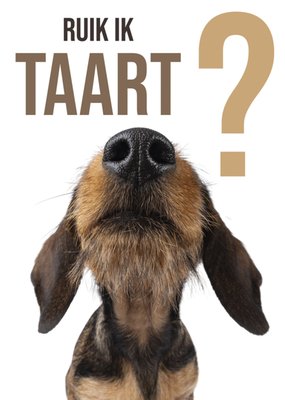 Catchy Images | Verjaardagskaart | ruik ik taart?