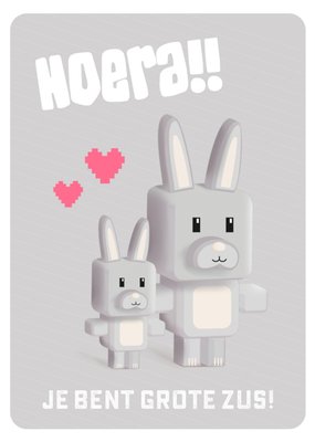 Greetz | Geboortekaart | konijn | zus