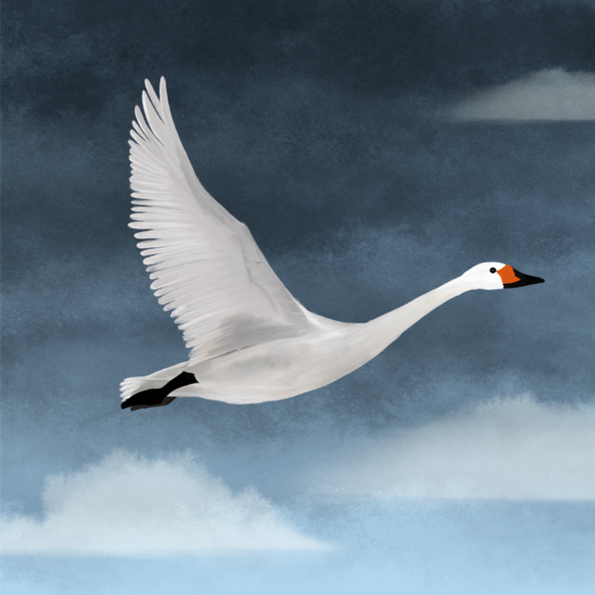 Patricia Hooning Condoleancekaart Gans Vierkante Kaart Fishuals