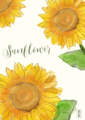 Greetz | Zomaar kaart | Sunflower