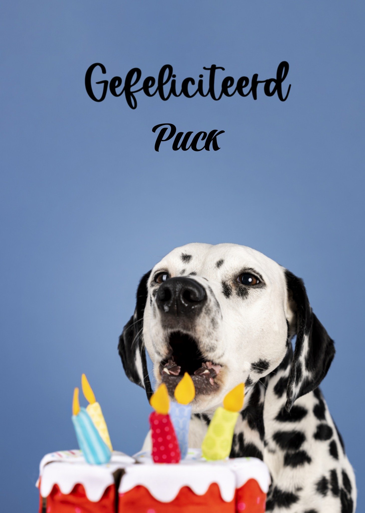 Felicitatiekaart dalmatier Kaart Catchy Images