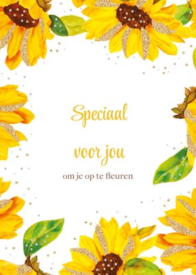 TMS | Denken aan | Zonnebloemen