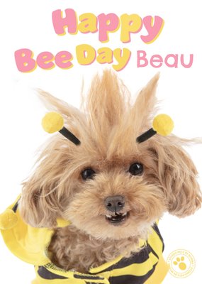 Studio Pets | Verjaardagskaart | Happy Bee Day Beau | Pup