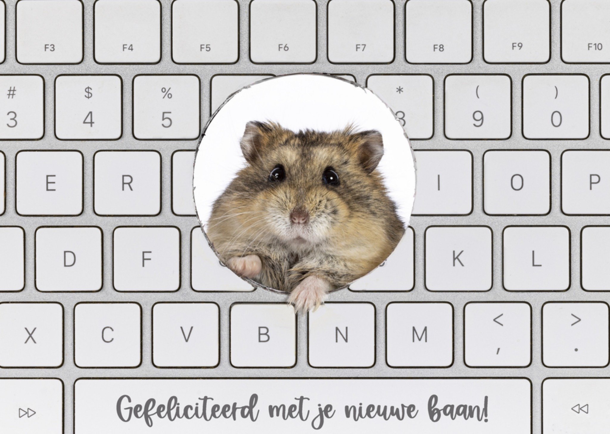 Nieuwe baan kaart hamster Catchy Images