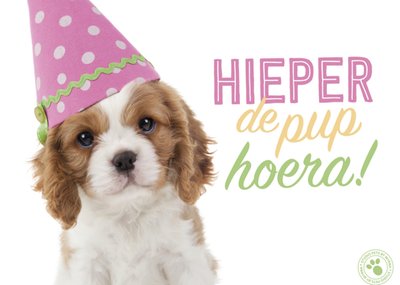 Verjaardagskaart | Studio Pets | Dieren