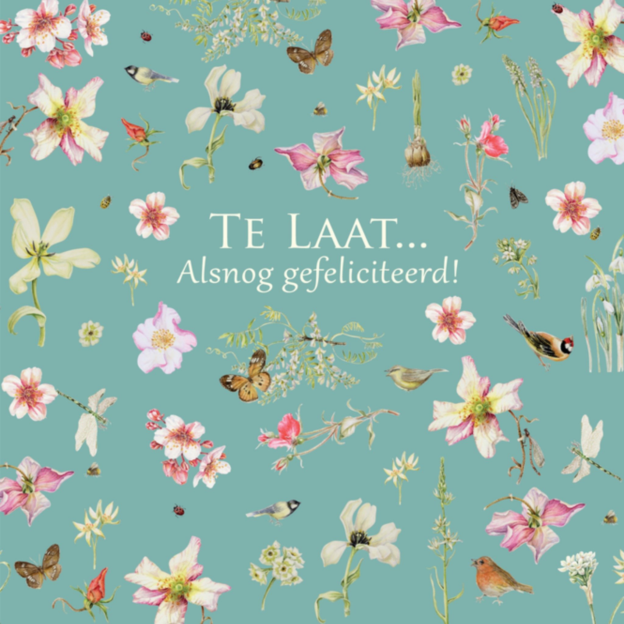 Late felicitatie Te laat.. Vierkante Kaart Janneke Brinkman